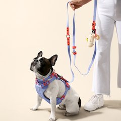 Adjustable Soft Padded No Pull Pet Harness with 3 Buckles and 3 Leash Clips