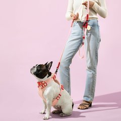 Adjustable Soft Padded No Pull Pet Harness with 3 Buckles and 3 Leash Clips