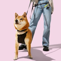Adjustable Soft Padded No Pull Pet Harness with 3 Buckles and 3 Leash Clips