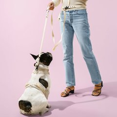 Adjustable Soft Padded No Pull Pet Harness with 3 Buckles and 3 Leash Clips