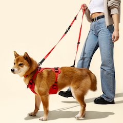 Adjustable Soft Padded No Pull Pet Harness with 3 Buckles and 3 Leash Clips