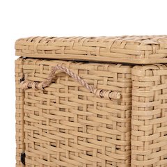 Jacob Handwoven Wicker Storage Trunk