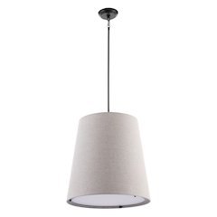 Arden Farmhouse Bohemian Iron Led Pendant