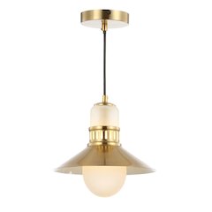 Colin Adjustable Iron/Glass Retro Hurricane Led Pendant