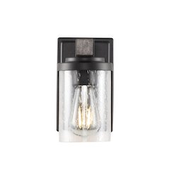 Bungalow Iron/Seeded Glass Rustic Farmhouse Led Vanity Light