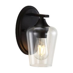 Jayne Iron/Glass Cottage Rustic Led Vanity Light
