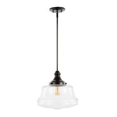 Schoolhouse Bohemian Farmhouse Iron/Glass Led Pendant