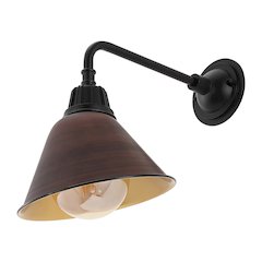 Industrial Indoor/Outdoor Iron Led Gooseneck Arm Outdoor Sconce