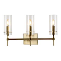 Cato Bohemian Farmhouse Iron/Glass Led Vanity