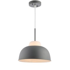 Simon Adjustable Metal/Glass Led Pendant