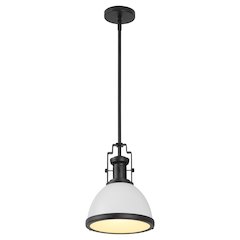 Homer 10" 1-Light Modern Industrial Iron LED Dome Pendant, White/Matte Black
