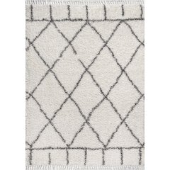 Mercer Shag Plush Tassel Moroccan Geometric Trellis Area Rug