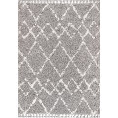 Mercer Shag Plush Tassel Moroccan Tribal Geometric Trellis Area Rug