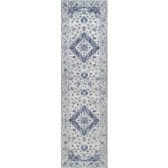 Indhira Ornate Medallion Persian Area Rug
