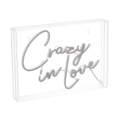 Crazy In Love Contemporary Glam Acrylic Box Usb Operated Led Neon Light
