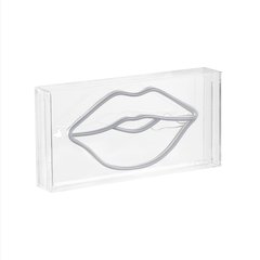 Lips Contemporary Glam Acrylic Box Usb Operated Led Neon Light