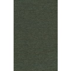 Griffin Rustic Farmhouse Woven Jute Solid Green 3 ft. x 5 ft. Area Rug