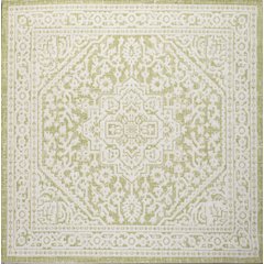 Sinjuri Medallion Textured Weave Indoor/Outdoor Area Rug