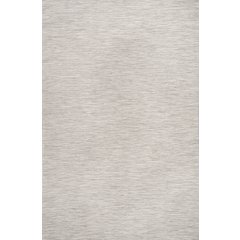 Ethan Modern Flatweave Solid Area Rug