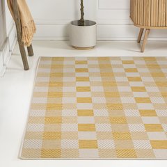 Darcy Traditional Geometric Bold Gingham Indoor/Outdoor Area Rug