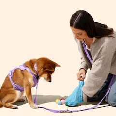 The Licker Store 13 in. x 9 in. Extra Thick Leak Proof Unscented Dog Poop Bags