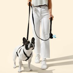 Teddy  Bouclé Adjustable H Harness and Leash Walk Set with Poop Bag Pouch