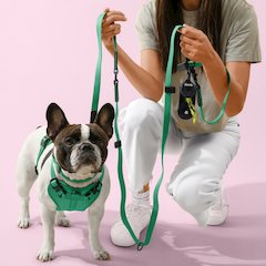 Adjustable 6-in-1 Waterproof Hands-Free Leash and Collar with LED Flashlight