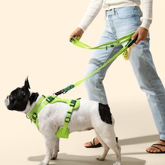 Adjustable 6-in-1 Waterproof Hands-Free Leash and Collar with LED Flashlight