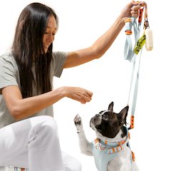 Adjustable 6-in-1 Waterproof Hands-Free Leash and Collar with LED Flashlight