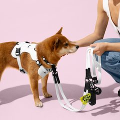 Adjustable 6-in-1 Waterproof Hands-Free Leash and Collar with LED Flashlight