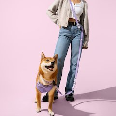 Adjustable 6-in-1 Waterproof Hands-Free Leash and Collar with LED Flashlight