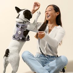 Adjustable 6-in-1 Waterproof Hands-Free Leash and Collar with LED Flashlight