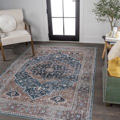 Alacati Ogee Medallion Machine-Washable Area Rug