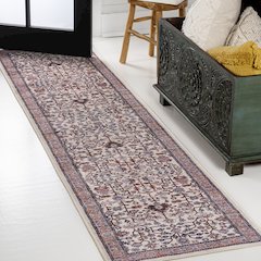 Kemer All-Over Persian Machine-Washable Runner Rug