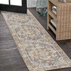 Keesha Bold Distressed Medallion Low-Pile Machine-Washable Runner Rug