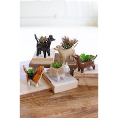 Set Of Five Ceramic Dog Planters