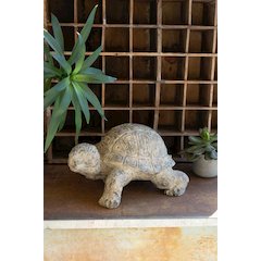 Faux Concrete - Turtle