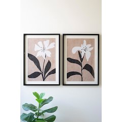 Set Of Two Framed Flower Prints Under Glass