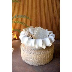 Organic White Ceramic Compote