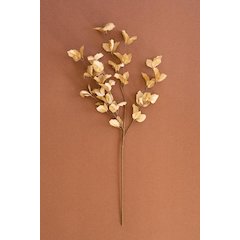 Botanica #9038