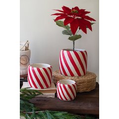 Set Of Three Concrete Candy Cane Planters