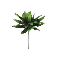 Botancia #294