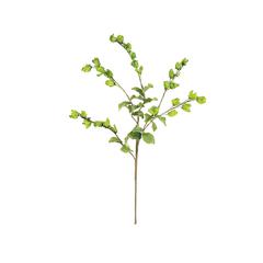 Botanica #3187