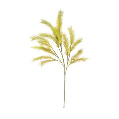 Botanica #3290