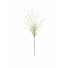 Botanica #3366