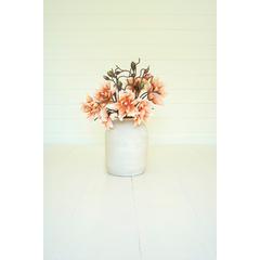 Botanica #3471
