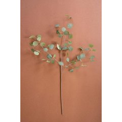 Botanica #3508