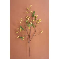 Botanica #3519