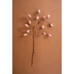 Botanica #3572