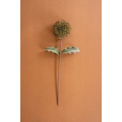 Botanica #3620